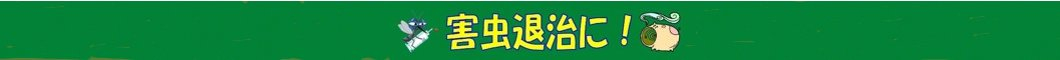 害虫退治に！殺虫剤特集