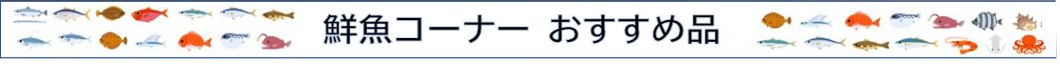 鮮魚コーナー本日のおすすめ品1/18