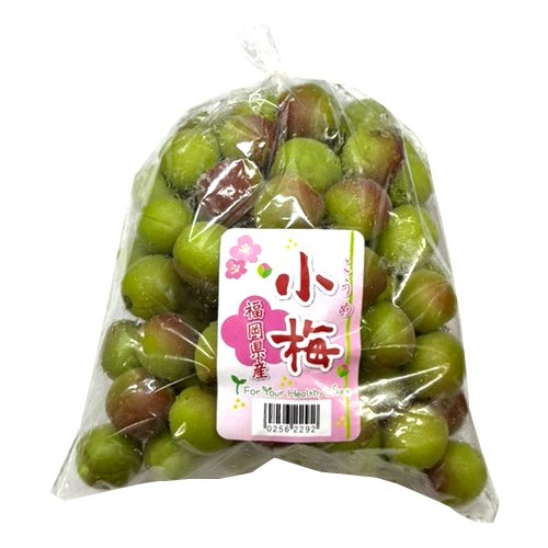□ 小梅（中）※納品状況によってはお届けできない場合がございます。 ふくろ