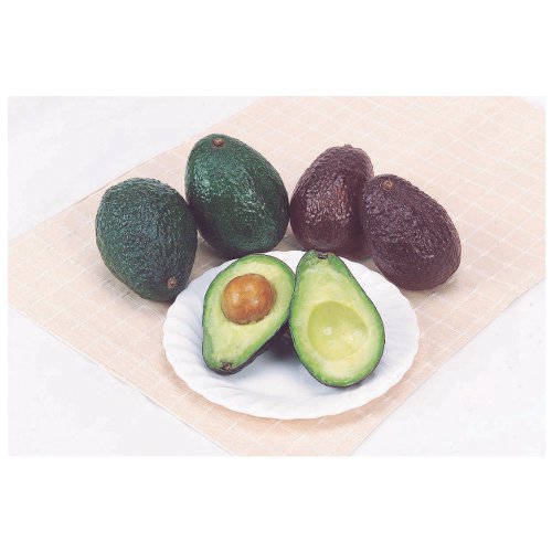 メキシコ産ほか アボカド（玉）※時期によっては青い場合がございます。 タマ