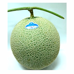 茨城産ほか □　アールスメロン（玉）