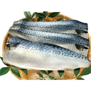 □甘塩さばフィーレ ３枚