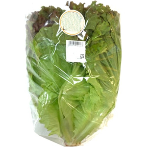 □産直サニーレタス フクロ