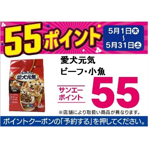 □【アプリ予約でBP５５】愛犬元気　ビーフ・小魚 ２．３ｋｇ