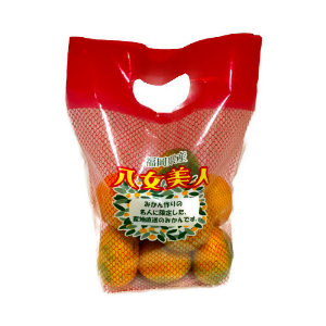 福岡産 八女美人 １ネット