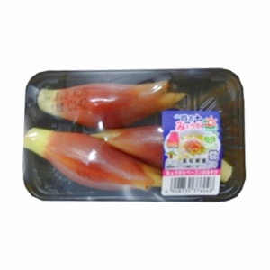 高知産ほか みょうが パック