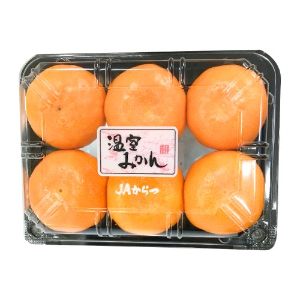 愛知産ほか ハウスみかんパック １ハ゜ック
