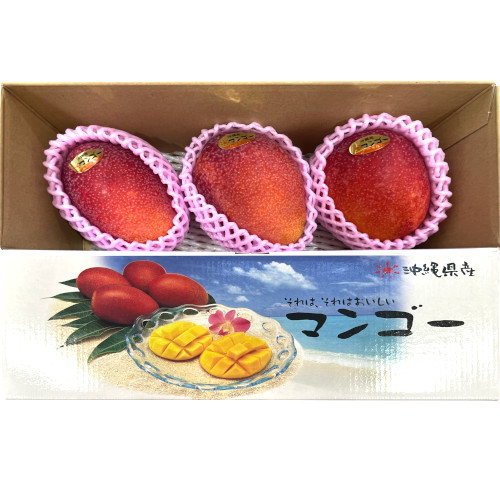 沖縄産 ＪＡおきなわマンゴー化粧箱（小）※冷蔵でお届け （２玉～３玉）