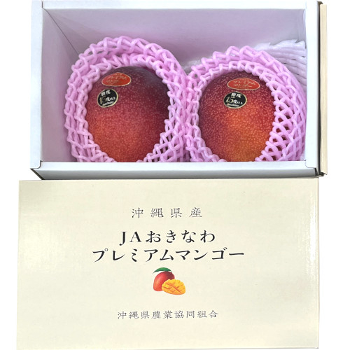 沖縄産 ＪＡおきなわプレミアムマンゴー化粧箱（小） （２玉入）