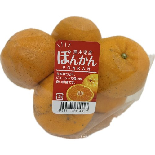 熊本産ほか ぽんかん １フクロ