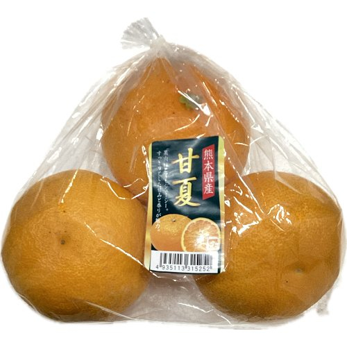 熊本産ほか 甘夏 １フクロ